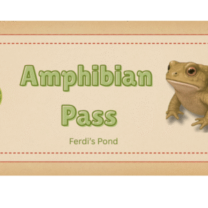 Ticket image with Amphibian Pass written on it